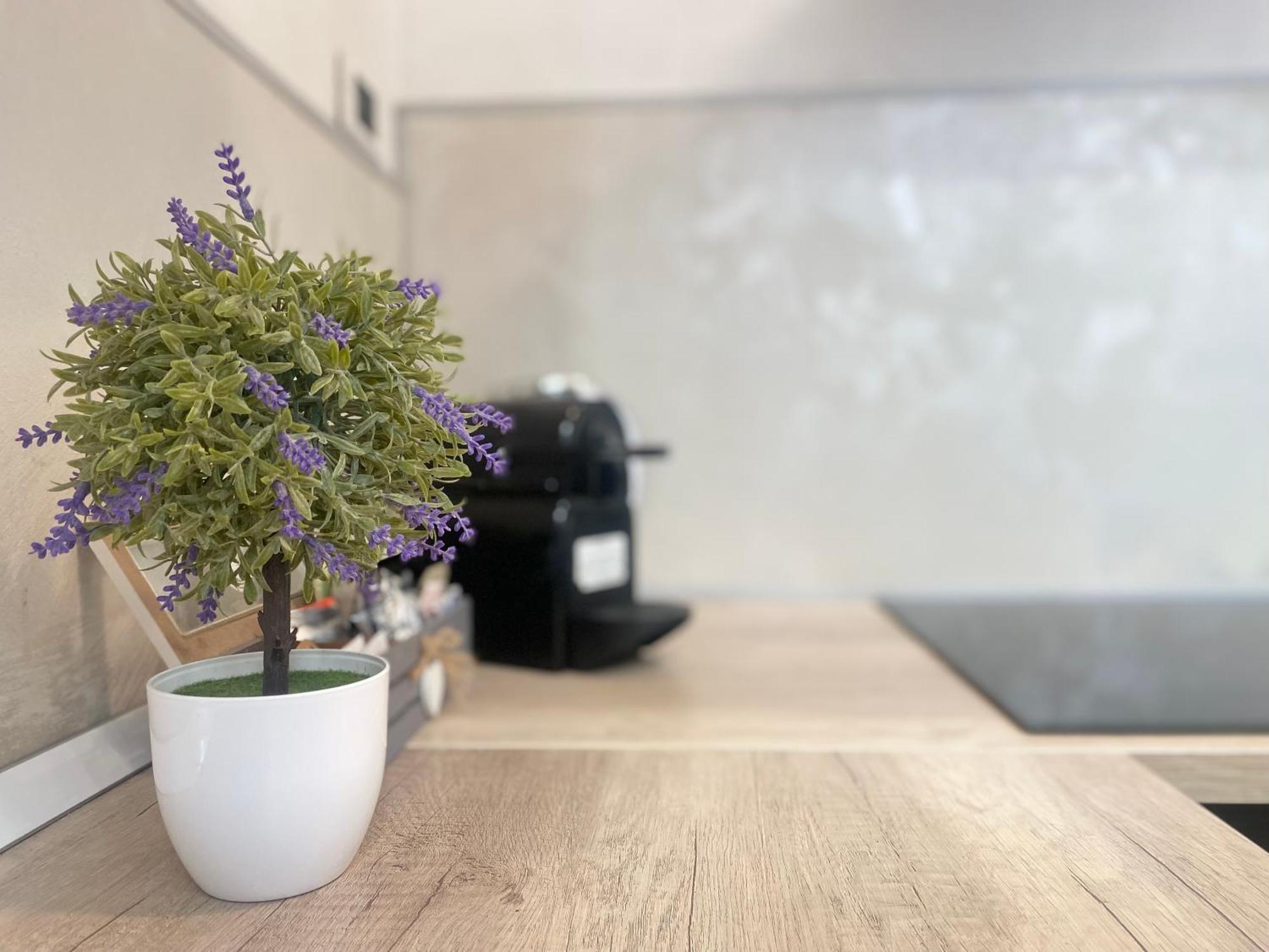 Mazzini 12, Elegant Central Apartment With Free Private Garage 800 M, Air Conditioning, Wi-Fi, Just 100 M From The Public Beach Rapallo Exterior foto